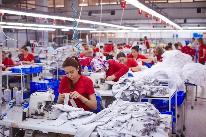 SDF Clothing GOTS certified organic cotton manufacturing facility with full supply chain certification